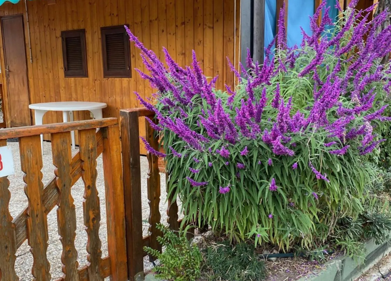 Holiday park Camping Roma Villa Ventimiglia
