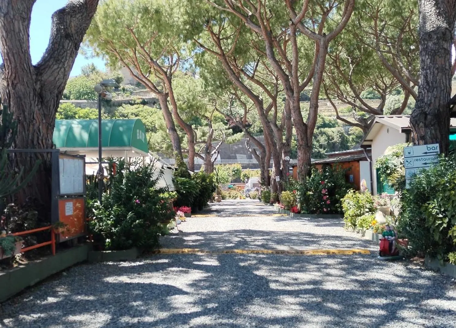 Camping Roma Villa Ventimiglia