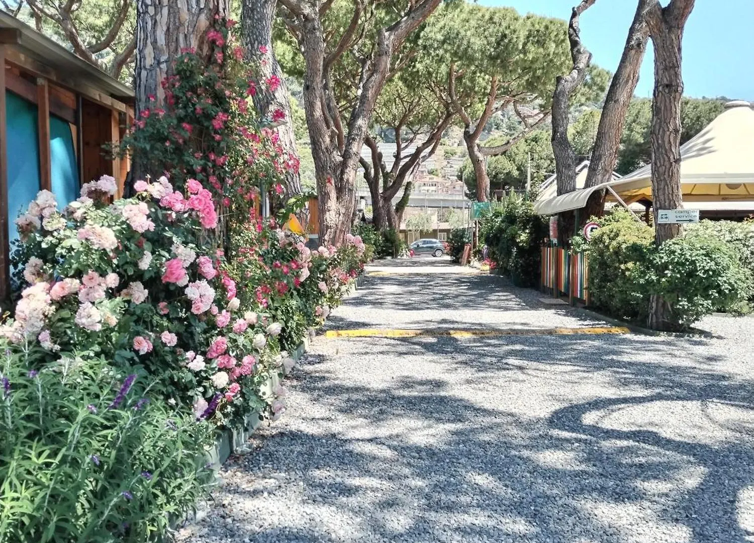 Holiday park Camping Roma Villa Ventimiglia
