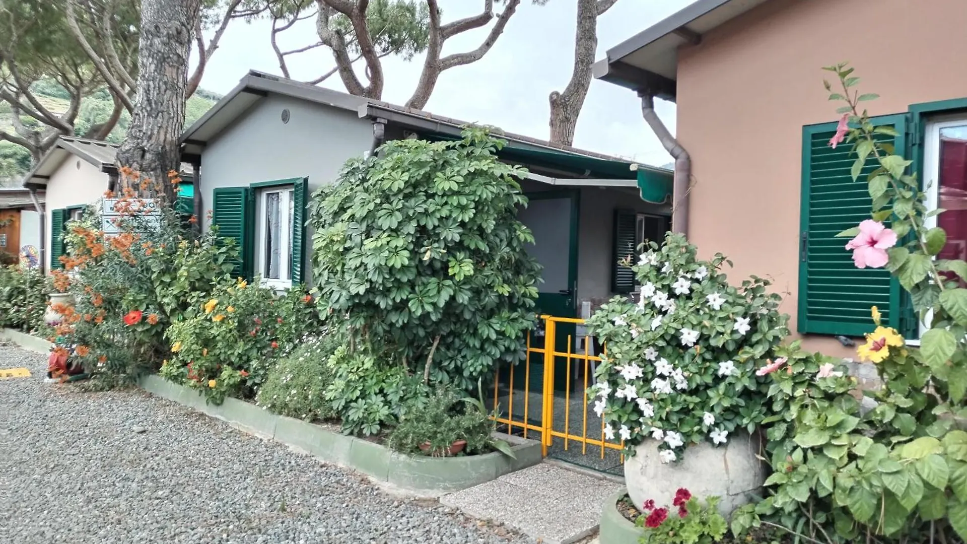 Camping Roma Villa Ventimiglia